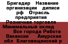 Бригадир › Название организации ­ диписи.рф › Отрасль предприятия ­ Розничная торговля › Минимальный оклад ­ 35 000 - Все города Работа » Вакансии   . Амурская обл.,Благовещенский р-н